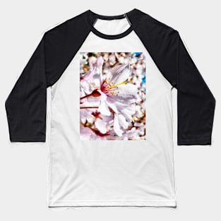 The Cherry Blossom Baseball T-Shirt